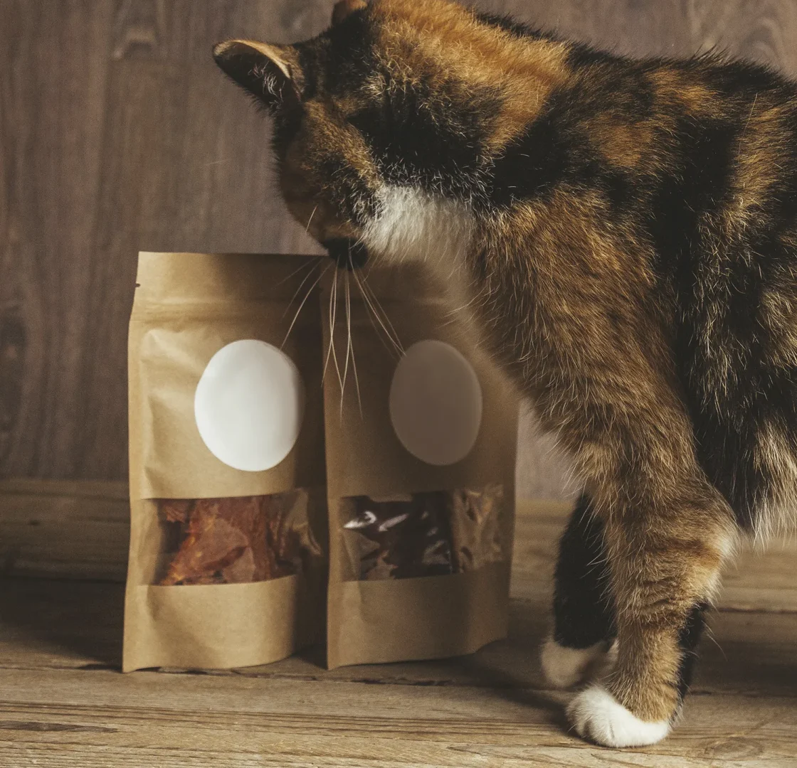 alimento gatos