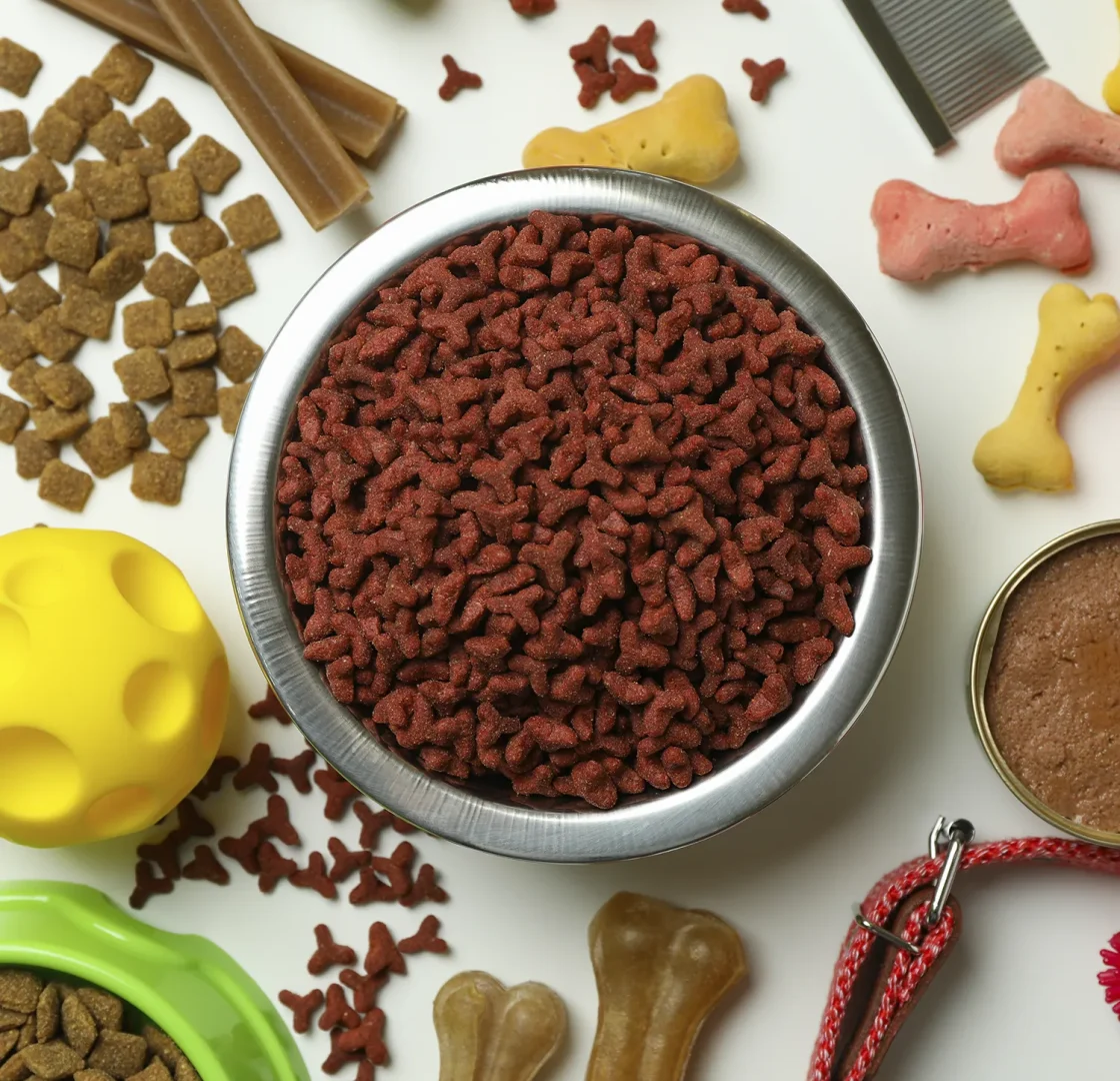 alimento perros